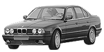 BMW E34 P2477 Fault Code